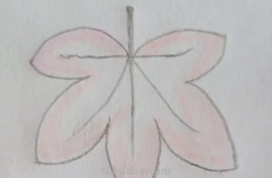 树叶怎么画简笔画 树叶怎么画简笔画