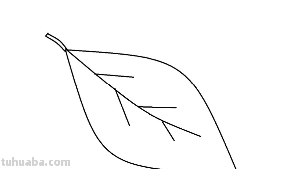 怎样画树叶 怎样画树叶