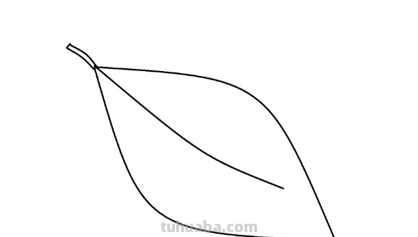 怎样画树叶 怎样画树叶