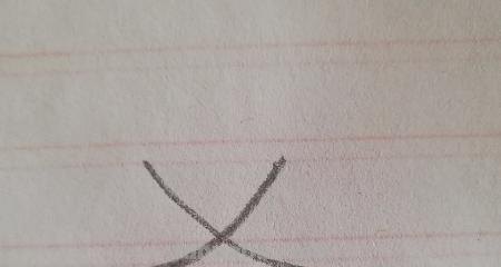 枫树怎么画简笔画 简笔画枫叶的画法？