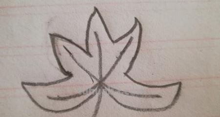 枫树怎么画简笔画 简笔画枫叶的画法? 枫树怎么画简笔画 简笔画枫叶的画法?