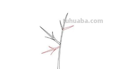 枫树怎么画简笔画 简笔画枫叶的画法? 枫树怎么画简笔画 简笔画枫叶的画法?
