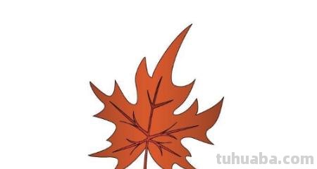 枫树怎么画简笔画 简笔画枫叶的画法? 枫树怎么画简笔画 简笔画枫叶的画法?