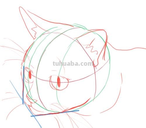 二次元插画中猫咪怎么画？学会这个你也能云养猫