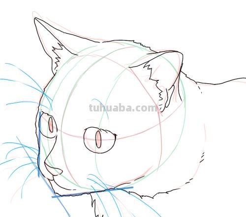 二次元插画中猫咪怎么画？学会这个你也能云养猫