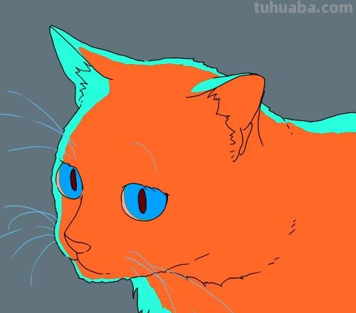 二次元插画中猫咪怎么画？学会这个你也能云养猫