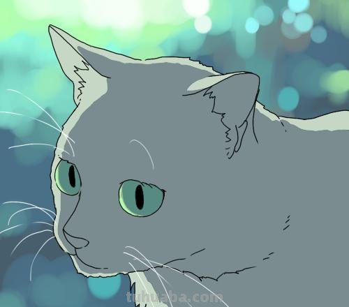 二次元插画中猫咪怎么画？学会这个你也能云养猫