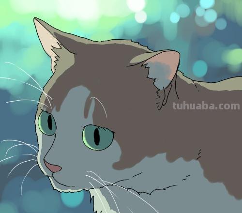 二次元插画中猫咪怎么画？学会这个你也能云养猫