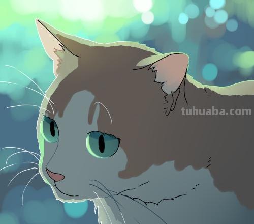 二次元插画中猫咪怎么画？学会这个你也能云养猫