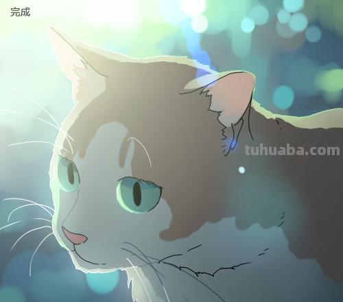 二次元插画中猫咪怎么画？学会这个你也能云养猫