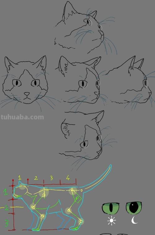 二次元插画中猫咪怎么画？学会这个你也能云养猫