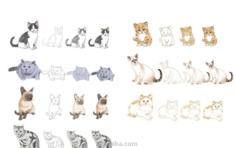 二次元插画中猫咪怎么画？学会这个你也能云养猫