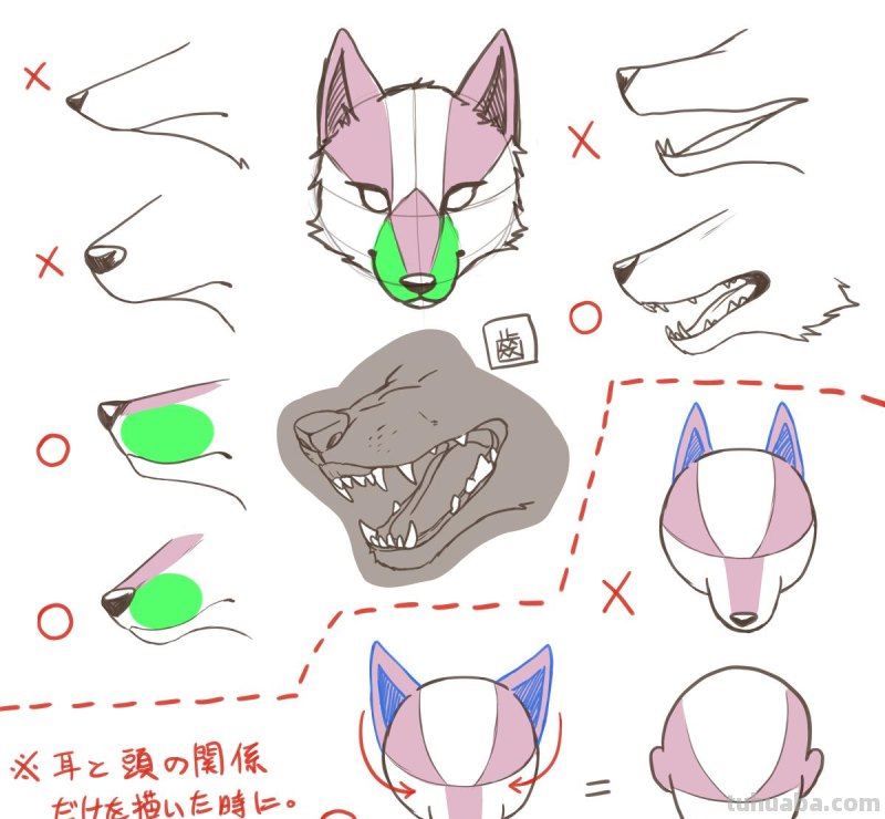 二次元插画中猫咪怎么画？学会这个你也能云养猫