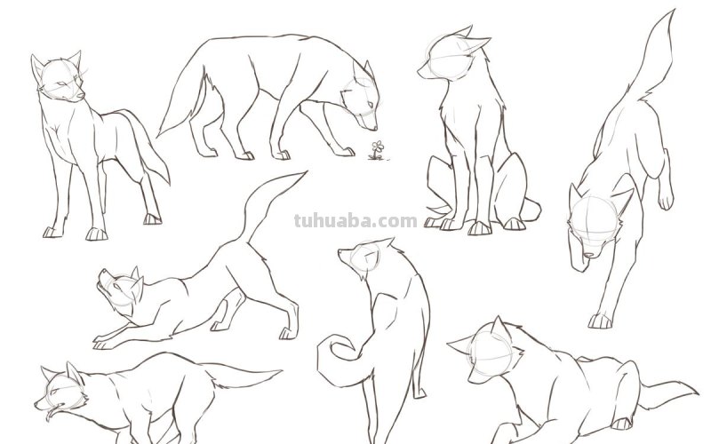 二次元插画中猫咪怎么画？学会这个你也能云养猫