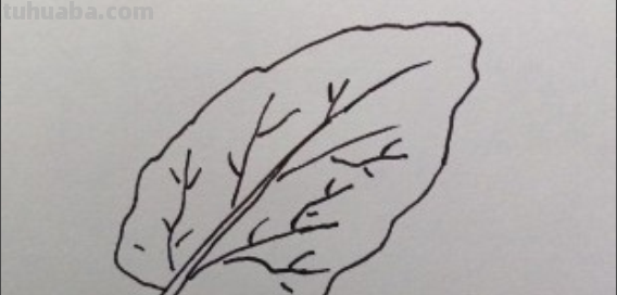 叶子怎么画