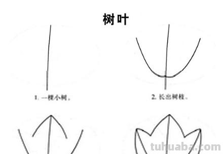 叶子怎么画