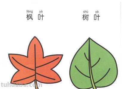 叶子怎么画