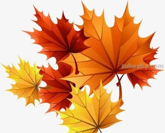 树叶的画法