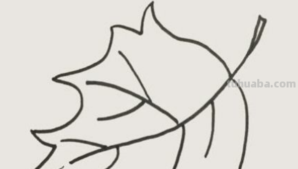怎么画叶子