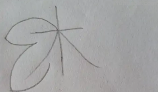 树叶图片大全简笔画 树叶图片大全简笔画