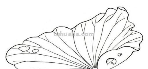 树叶的简笔画怎么画? 树叶的简笔画怎么画?