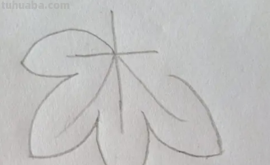 树叶图片大全简笔画 树叶图片大全简笔画