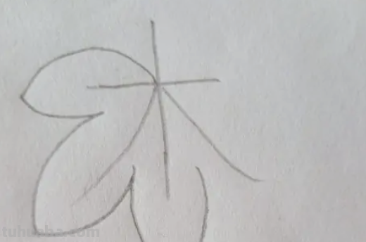 树叶图片大全简笔画 树叶图片大全简笔画