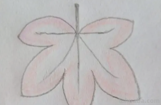 树叶图片大全简笔画 树叶图片大全简笔画