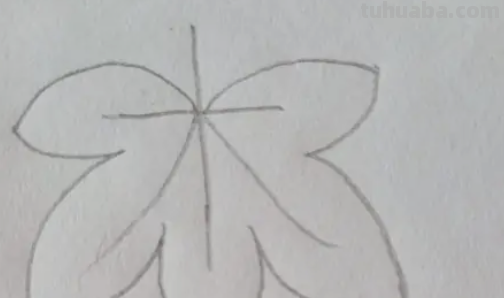 树叶图片大全简笔画 树叶图片大全简笔画