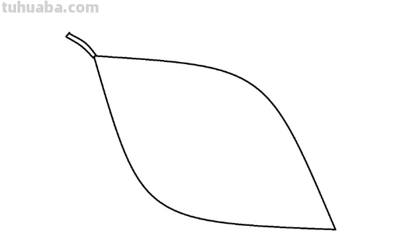 怎样画树叶 怎样画树叶