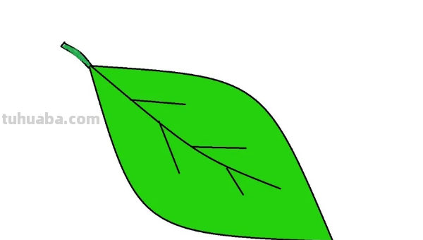 怎样画树叶 怎样画树叶