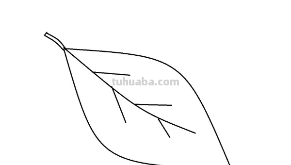 怎样画树叶 怎样画树叶