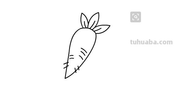 包菜怎么画简笔画 素描画包菜怎样圆起来? 包菜怎么画简笔画 素描画包菜怎样圆起来?