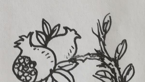 的简笔画怎么画 怎样一步步的画简笔画? 的简笔画怎么画 怎样一步步的画简笔画?