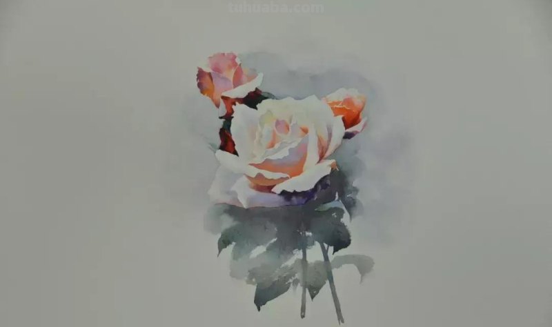 零基础小白喜爱的水彩小教程，毫不犹豫的收藏了