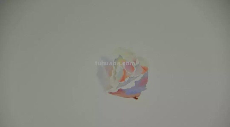 零基础小白喜爱的水彩小教程，毫不犹豫的收藏了