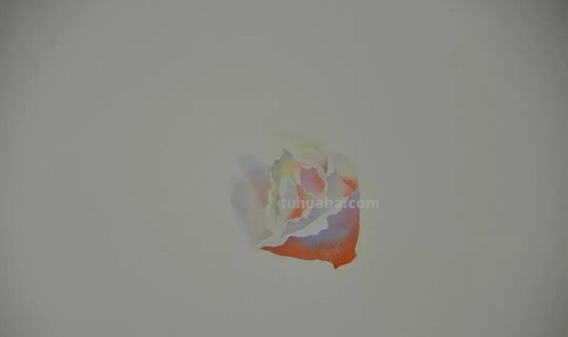 零基础小白喜爱的水彩小教程，毫不犹豫的收藏了