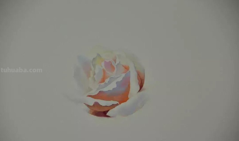 零基础小白喜爱的水彩小教程，毫不犹豫的收藏了