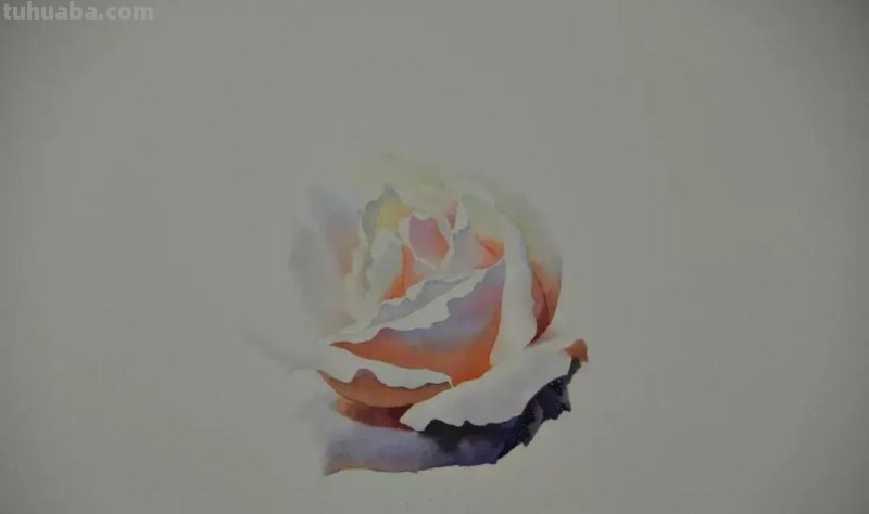 零基础小白喜爱的水彩小教程，毫不犹豫的收藏了