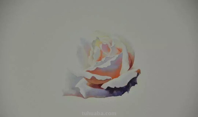 零基础小白喜爱的水彩小教程，毫不犹豫的收藏了