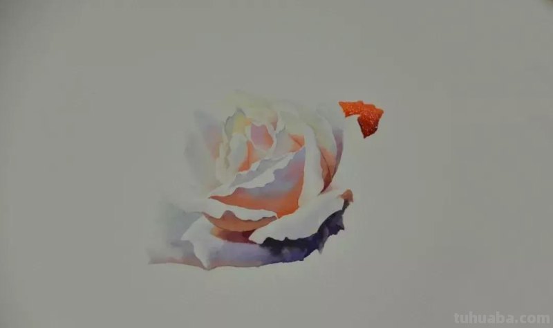 零基础小白喜爱的水彩小教程，毫不犹豫的收藏了