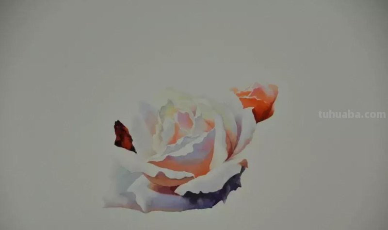 零基础小白喜爱的水彩小教程，毫不犹豫的收藏了