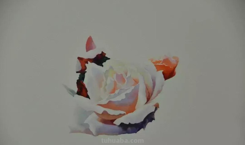 零基础小白喜爱的水彩小教程，毫不犹豫的收藏了