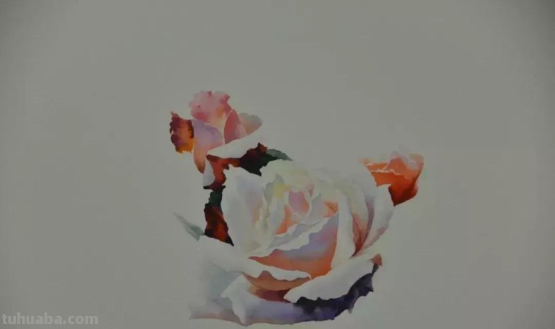 零基础小白喜爱的水彩小教程，毫不犹豫的收藏了