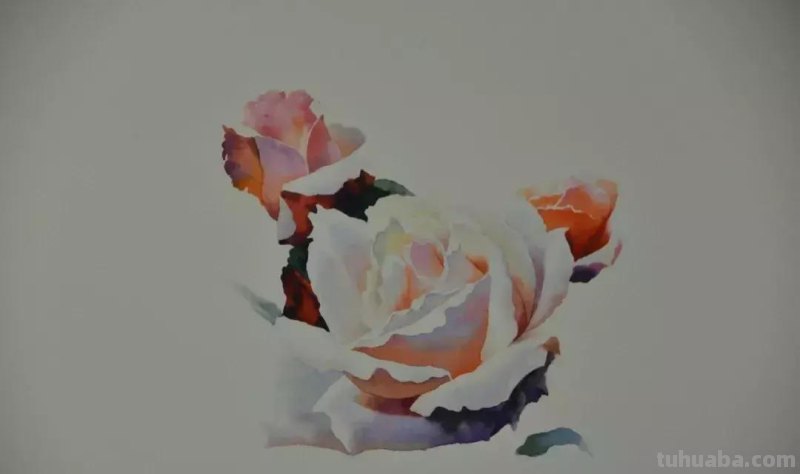 零基础小白喜爱的水彩小教程，毫不犹豫的收藏了