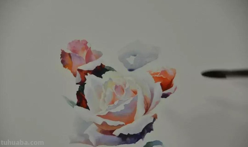 零基础小白喜爱的水彩小教程，毫不犹豫的收藏了