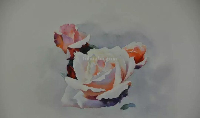 零基础小白喜爱的水彩小教程，毫不犹豫的收藏了