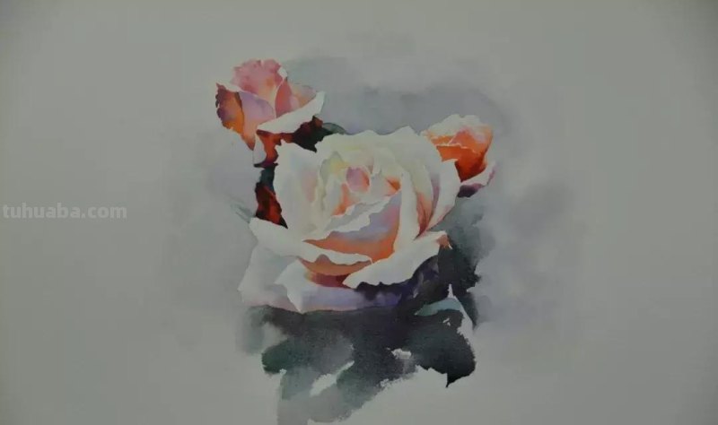 零基础小白喜爱的水彩小教程，毫不犹豫的收藏了