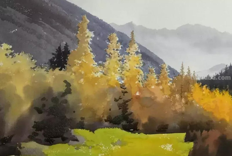 零基础小白喜爱的水彩小教程，毫不犹豫的收藏了