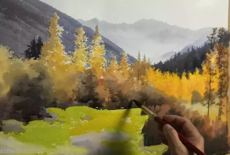 零基础小白喜爱的水彩小教程，毫不犹豫的收藏了